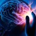 What is the difference between brain damage and brain injury?