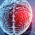Is brain injury the same as brain damage?